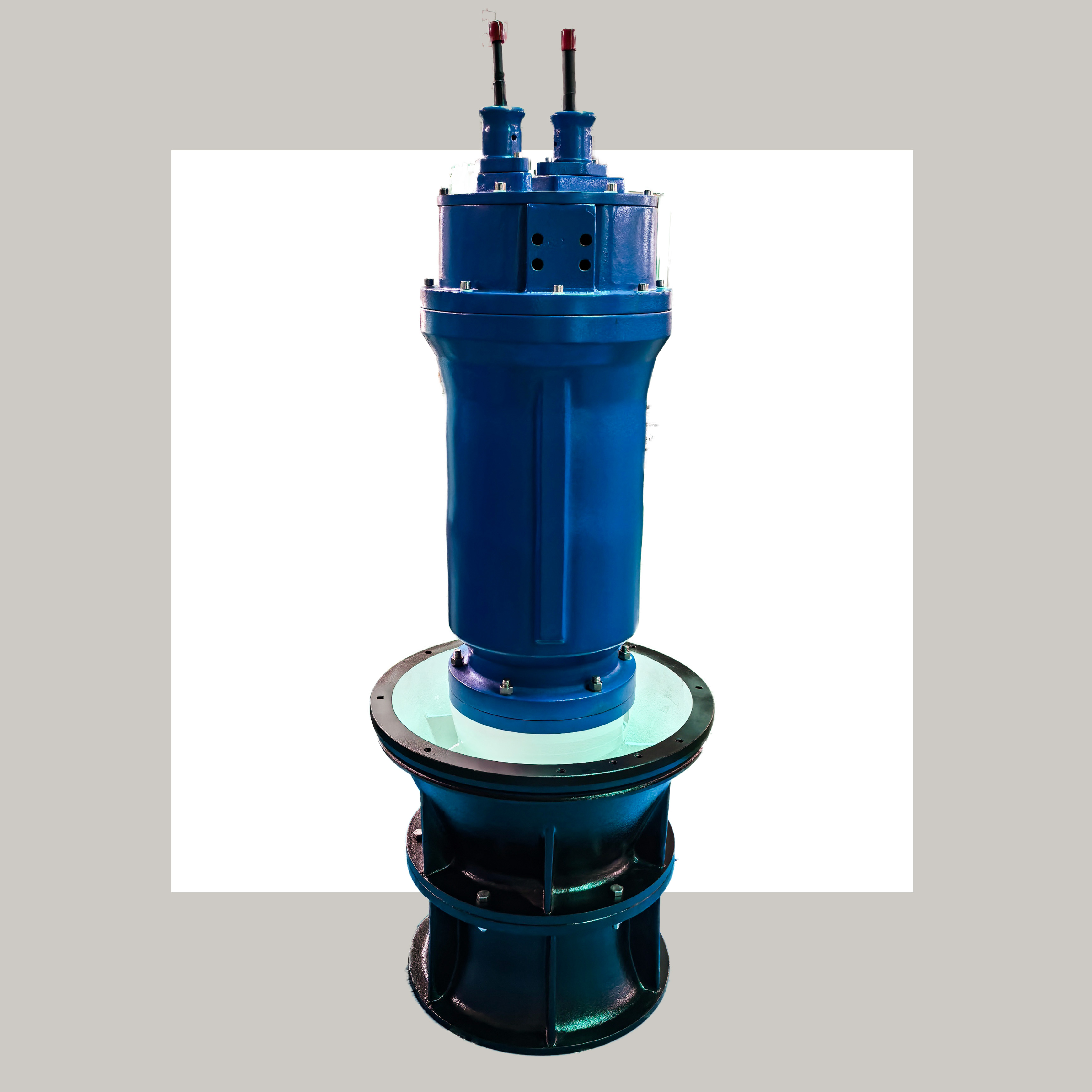 LANSHEN GROUP CORP.,LTD. – Submersible pump 2