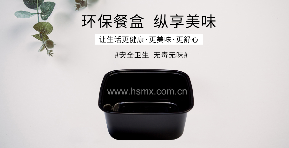 Disposable lunchbox, takesway box, food container