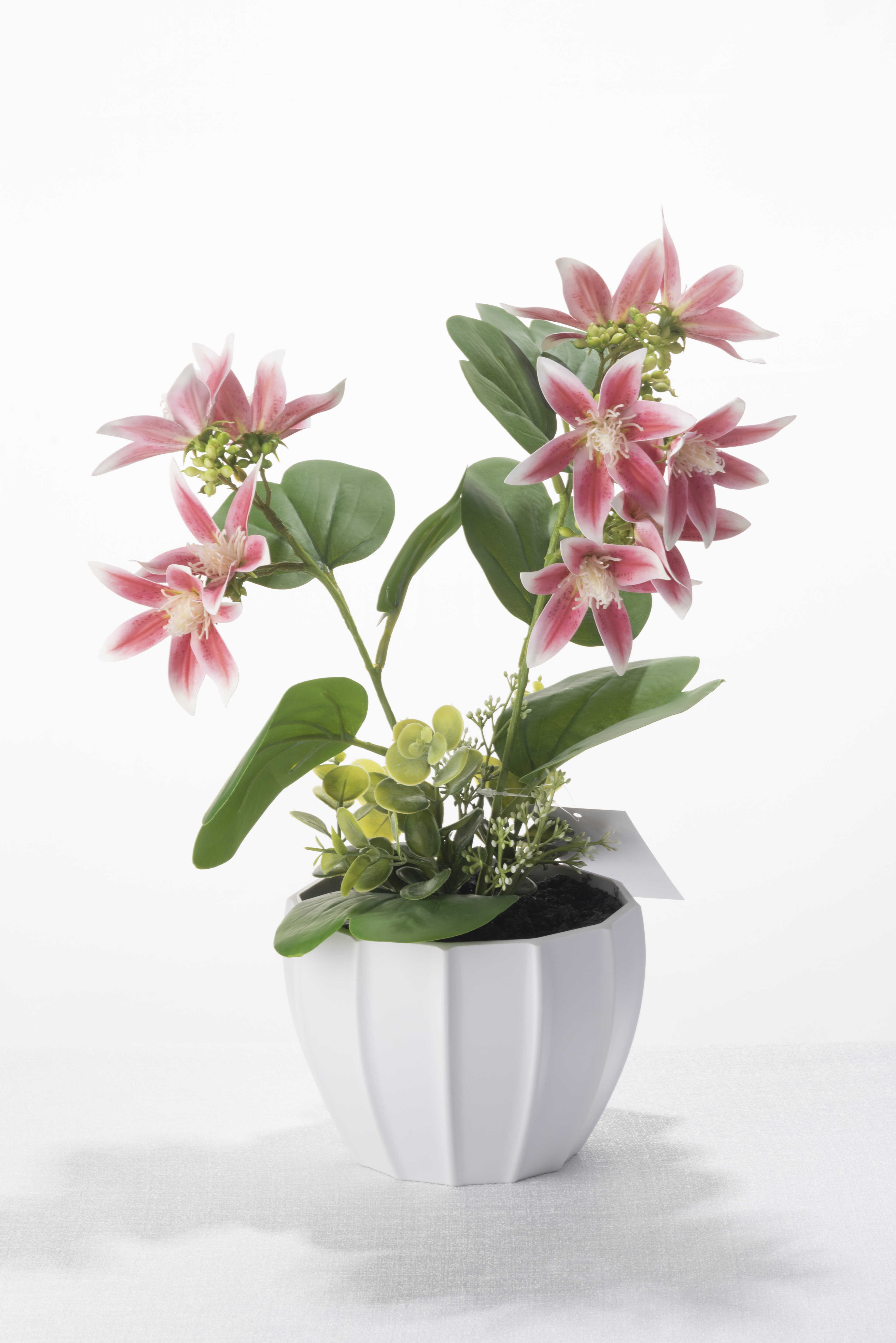 Tianjin Rongda import &export Co.,Ltd – Photos produits 4