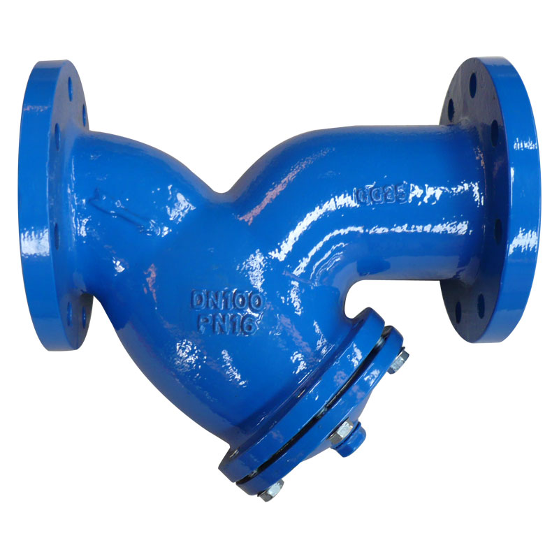Y strainer