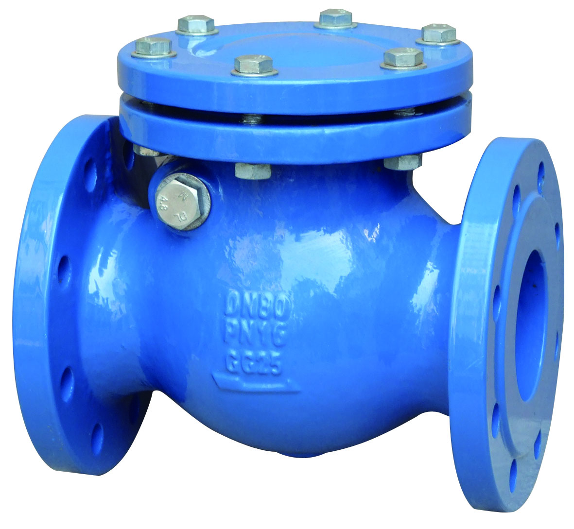 Swing check valve