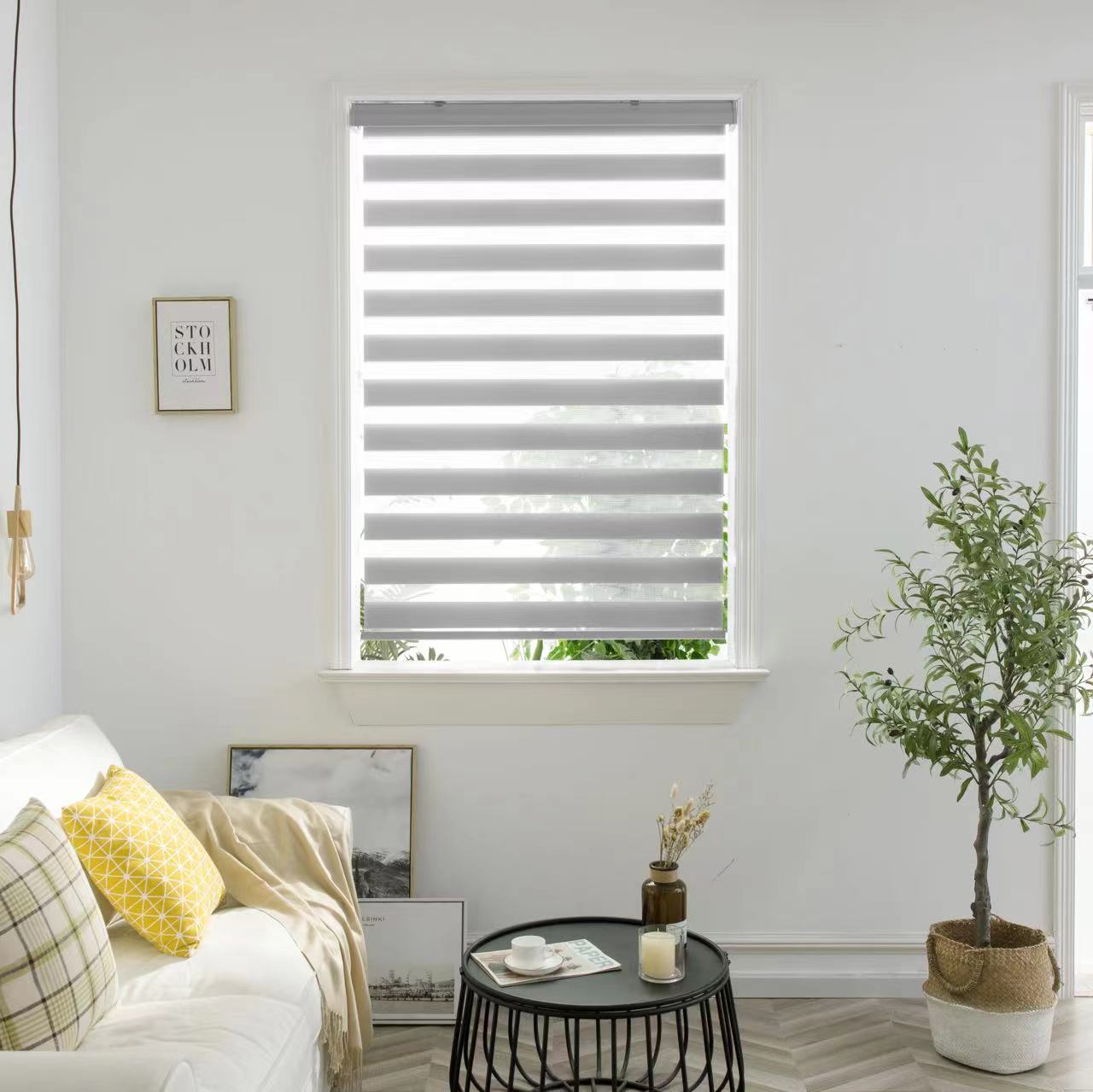 Zebra Blinds