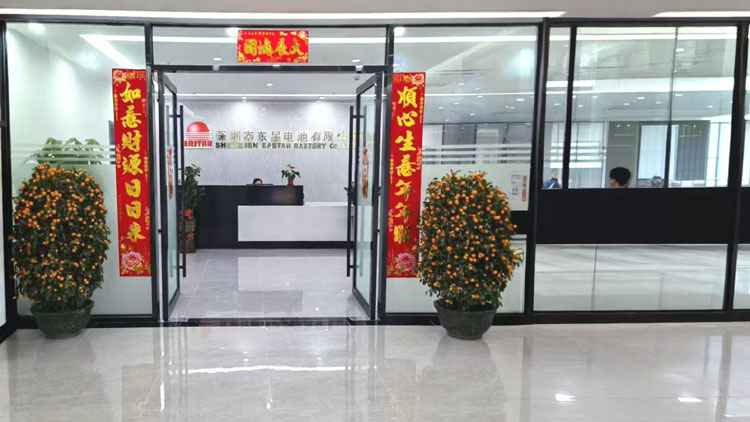 Shenzhen Dongxing Battery Co., Ltd. – Other electronic consumer products 1