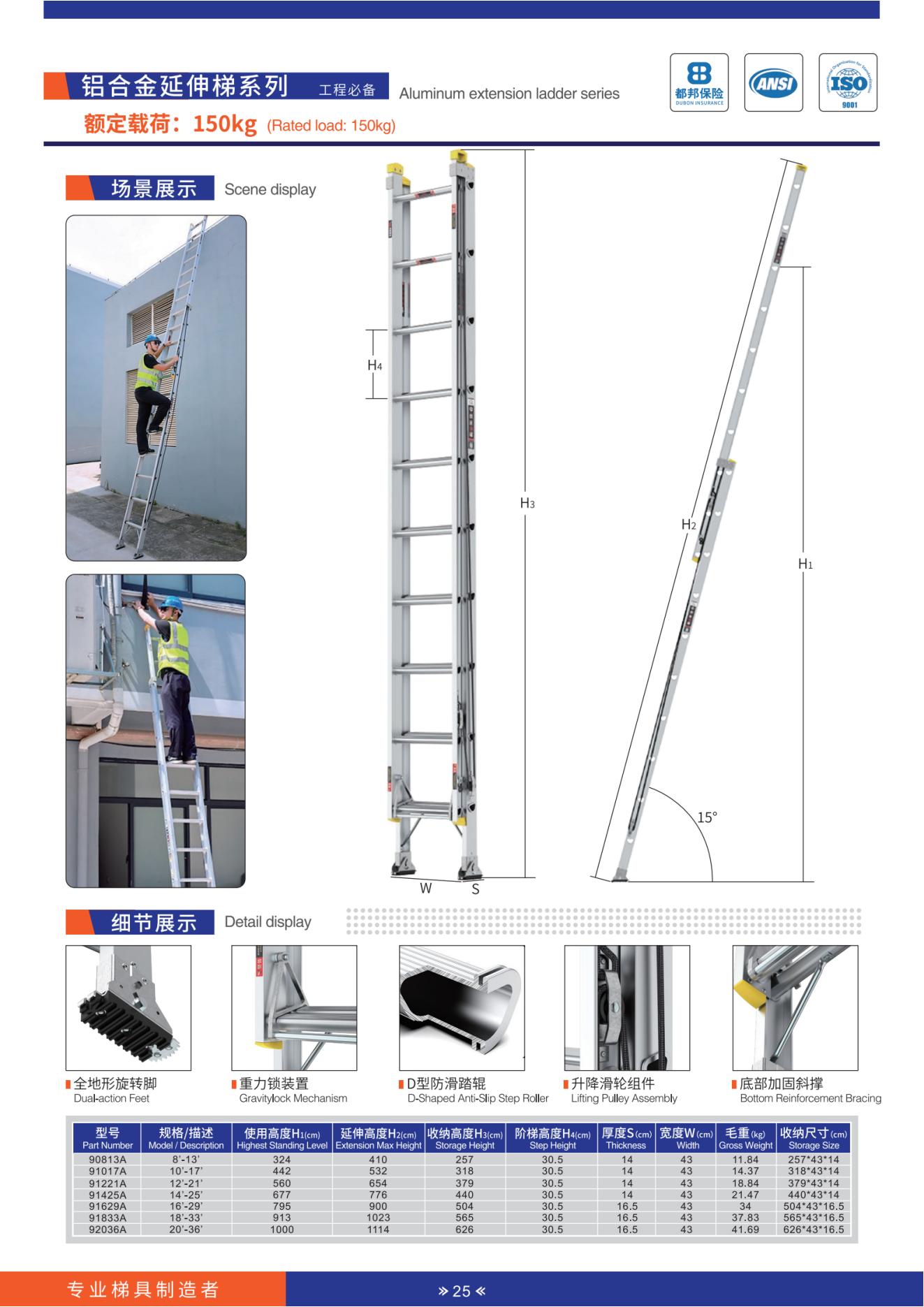 Extension Ladder