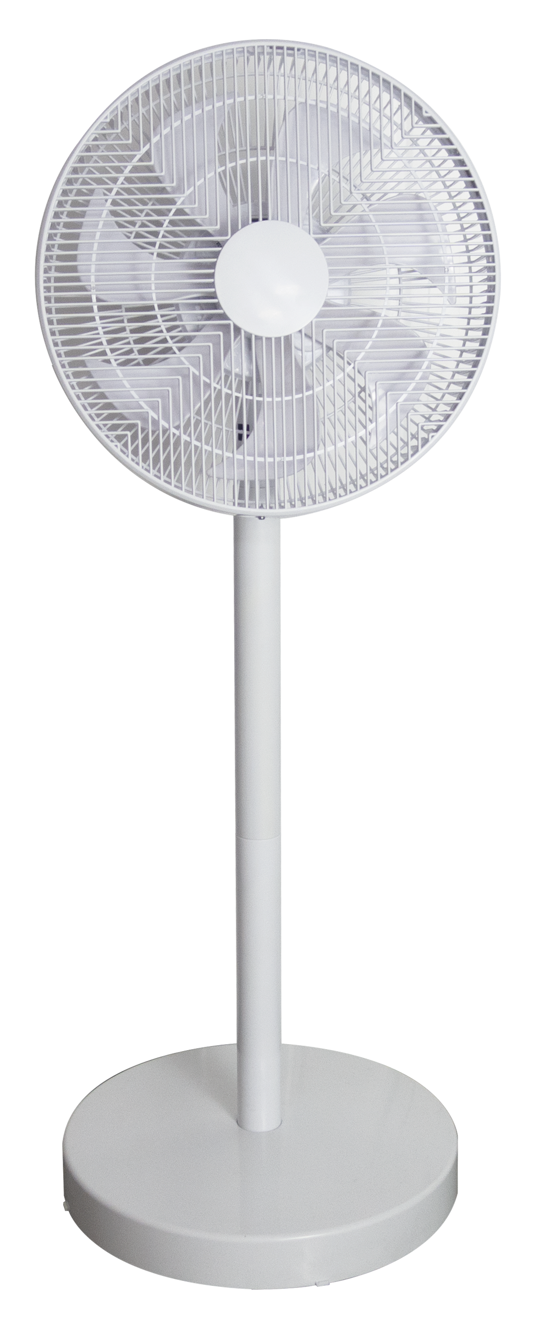 Electric Fan