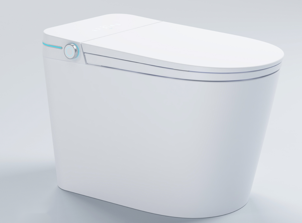 Intelligent Toilet