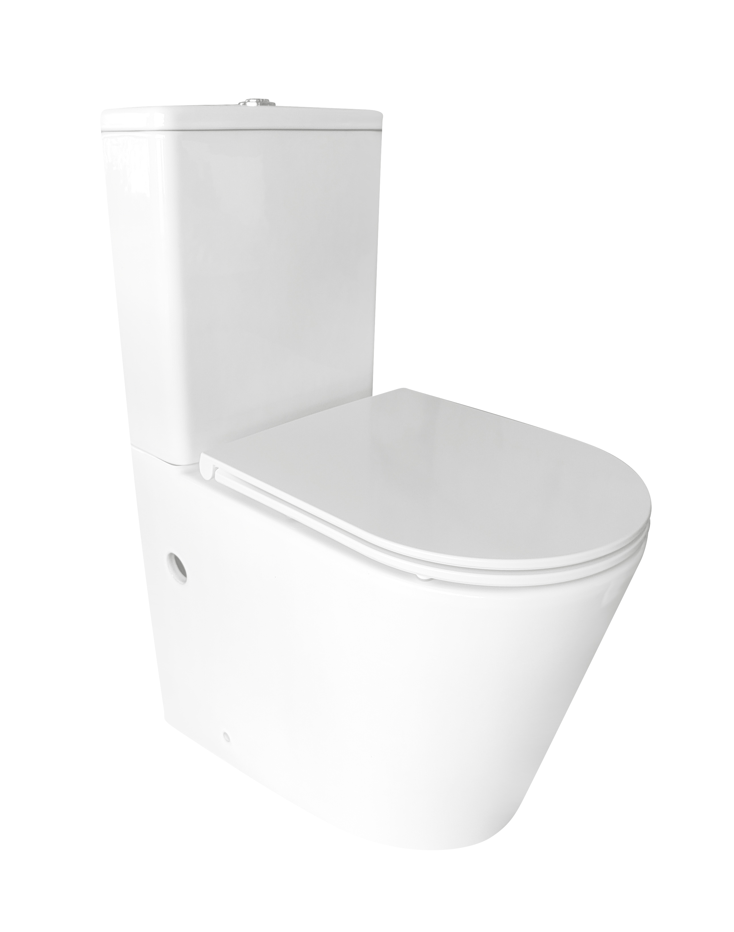 Washdown Close-Coupled Toilet