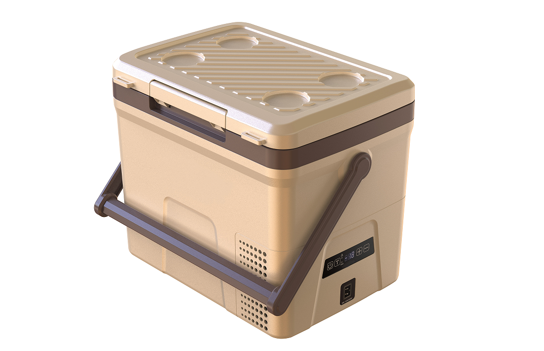 Home outdoor car-mounted mini-fridge