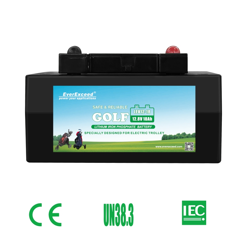Shenzhen EverExceed Industrial Co., Ltd. – Lithium Iron Phosphate Battery 1