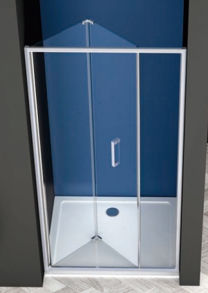 Shower door