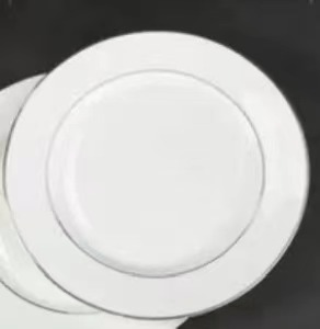 Dinner plate