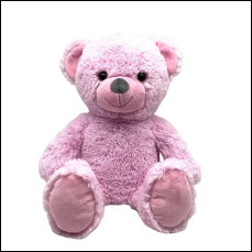 Teddy Bear Plush Toy