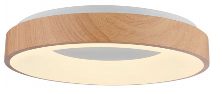 Arising Technology Co.,  Ltd – LED ceiling light 3