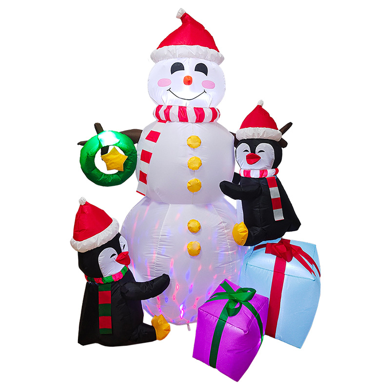 Shenzhen Sunrise Technology Co.,Ltd – Christmas lights 3