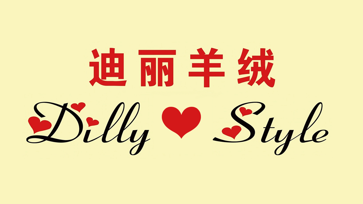 HEBEI DILLY FASHION CO., LTD