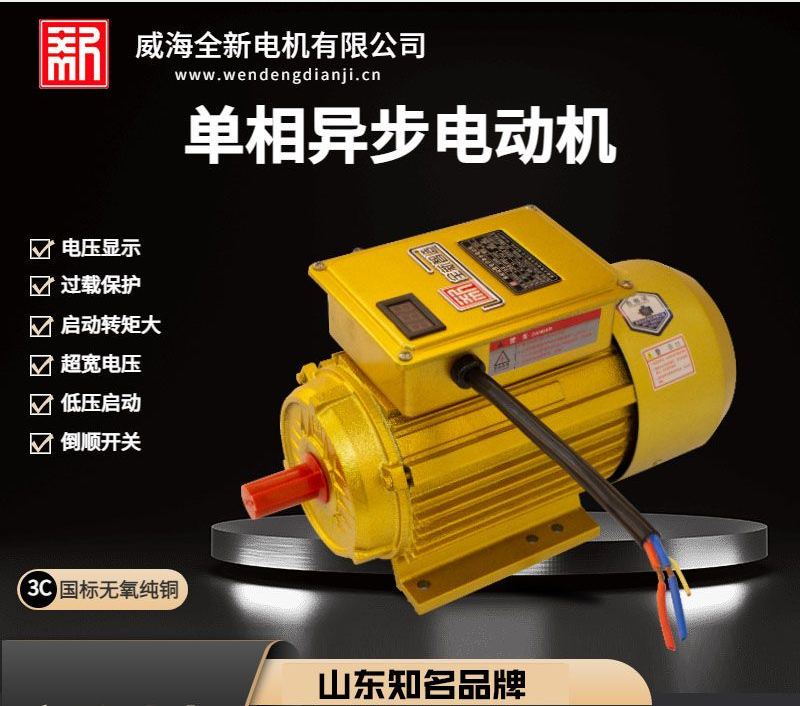 Weihai Quanxin Motor Co., Ltd. – AC motor 1