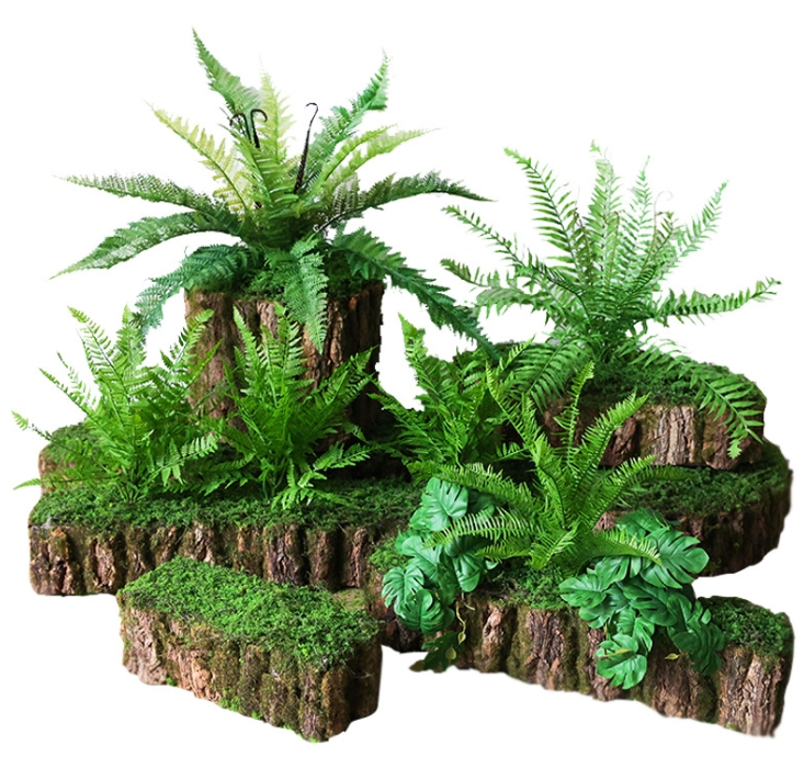 Moss bark decoration