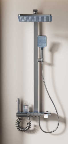 Shower Head