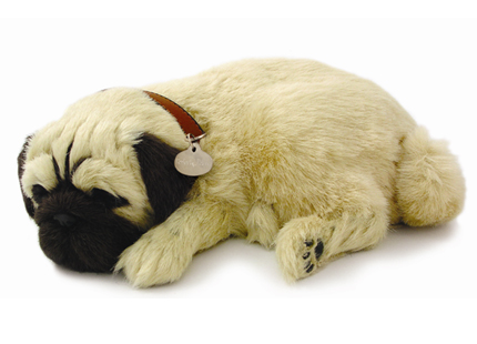 Perfect Petzzz-Pug
