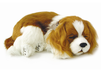 XUZHOU PERFECT PETS INTERNATIONAL TRADING CO., LTD – caja de regalo 4