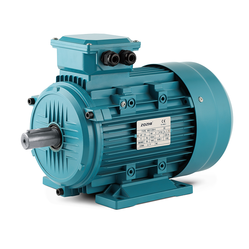 Three phase motor