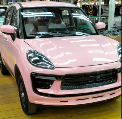 Henan Zhongjue New Energy Automobile Co.,ltd – cadena de bicicleta 1