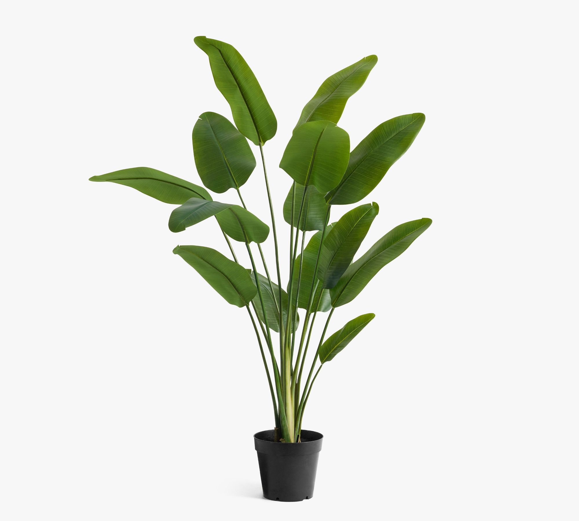 Shen Zhen Govishine International Trade Co.,Ltd – portarretrato 3