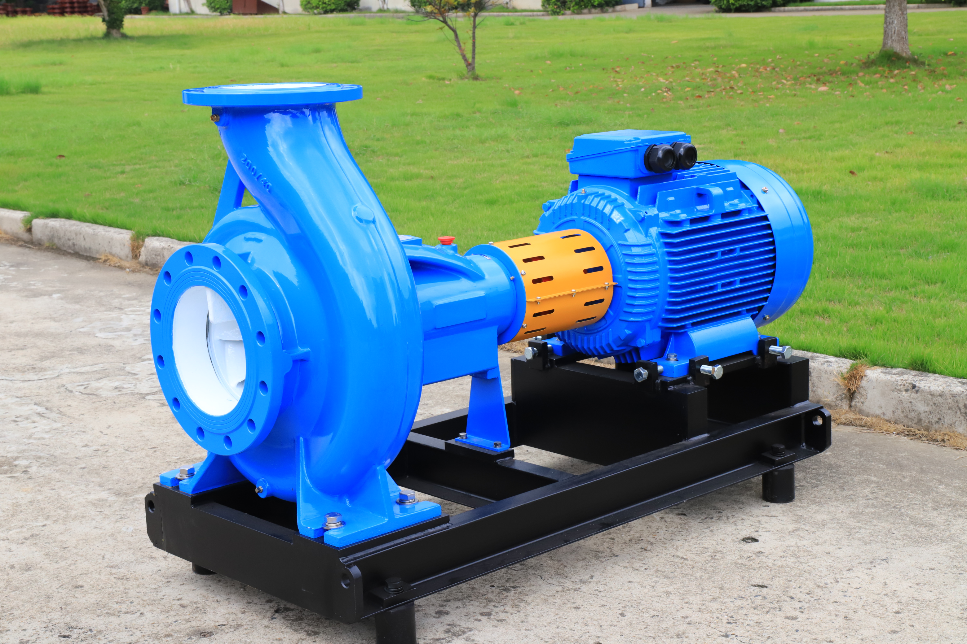Shanghai Shenbao Industrial Pump Co., Ltd – molde de inyección 1