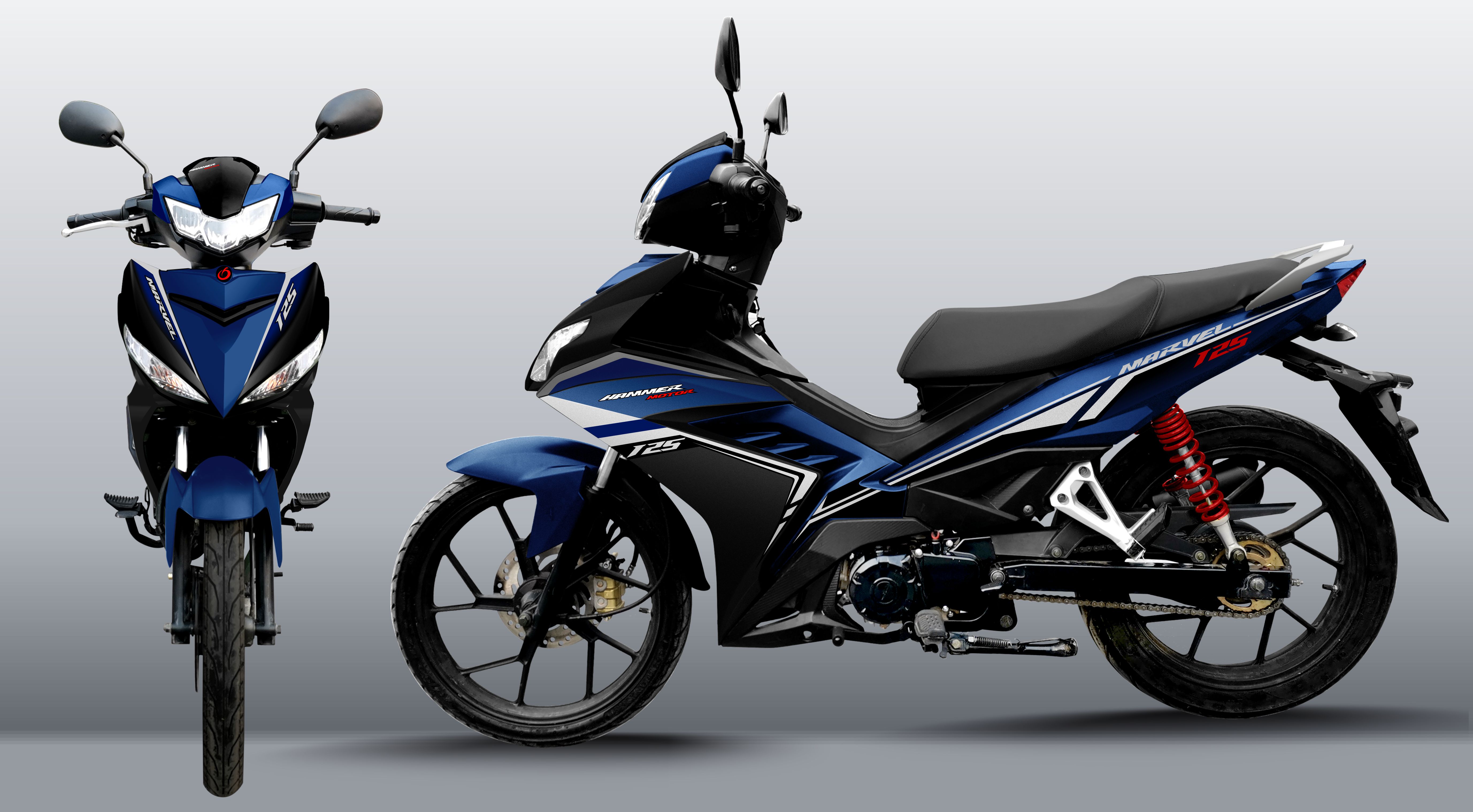 Cub 125cc Efi Euro 5