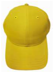 Biodegradable basecall cap