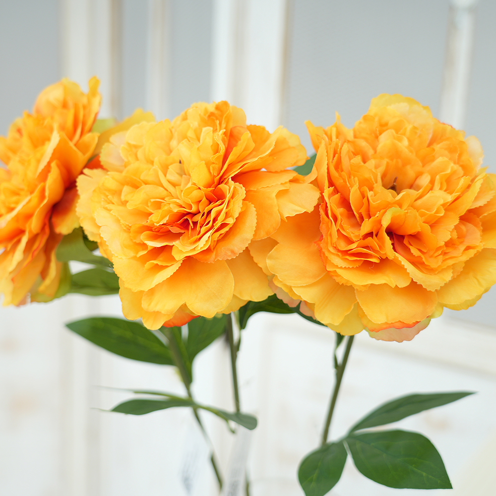 Transworld Artificial Single Branch Peony 15.5cm Flower-diameter Peony Stem Flowers For Home Decor