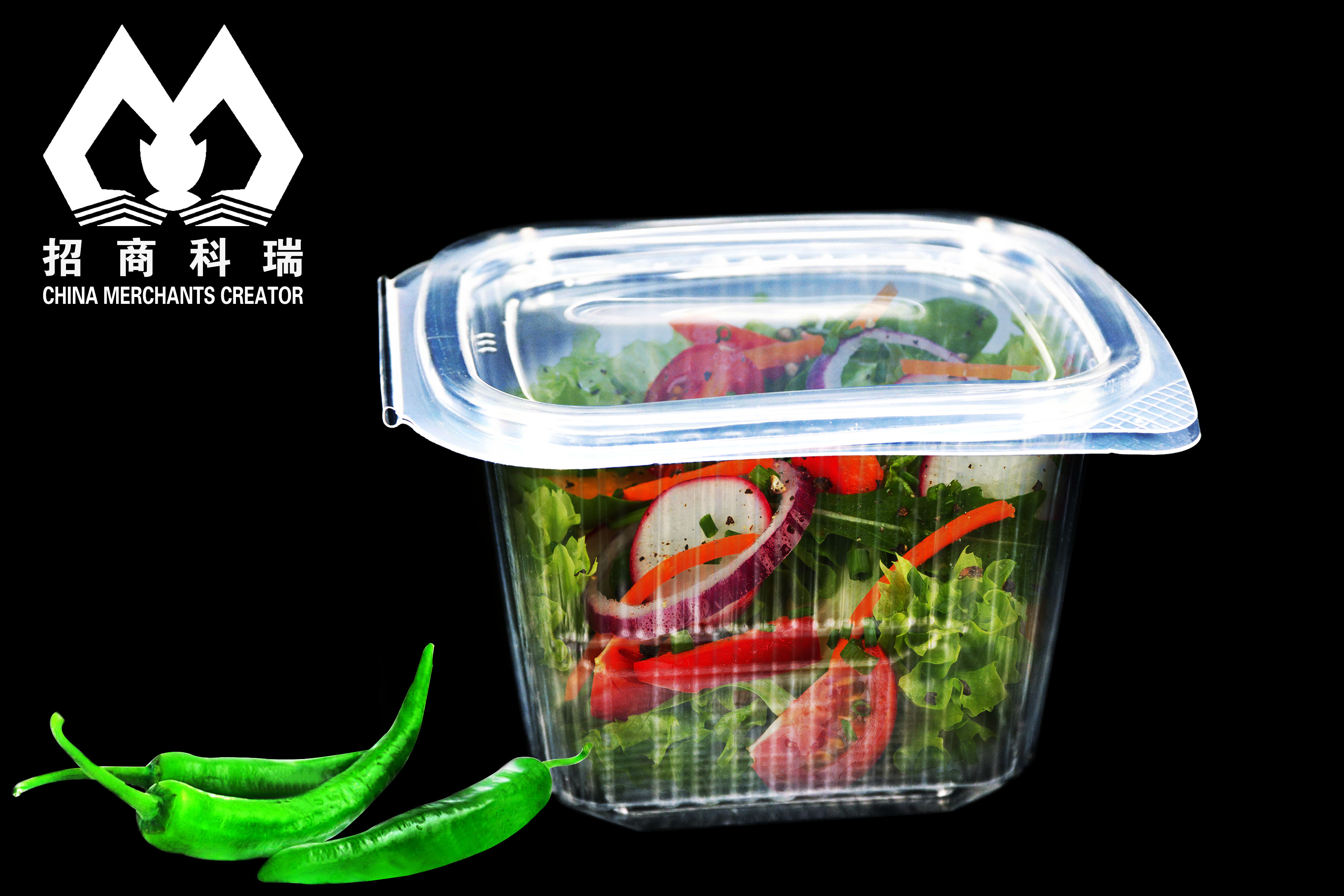 Weifang Merchants Creator Bio-tech Co.,Ltd – molde de inyección 1