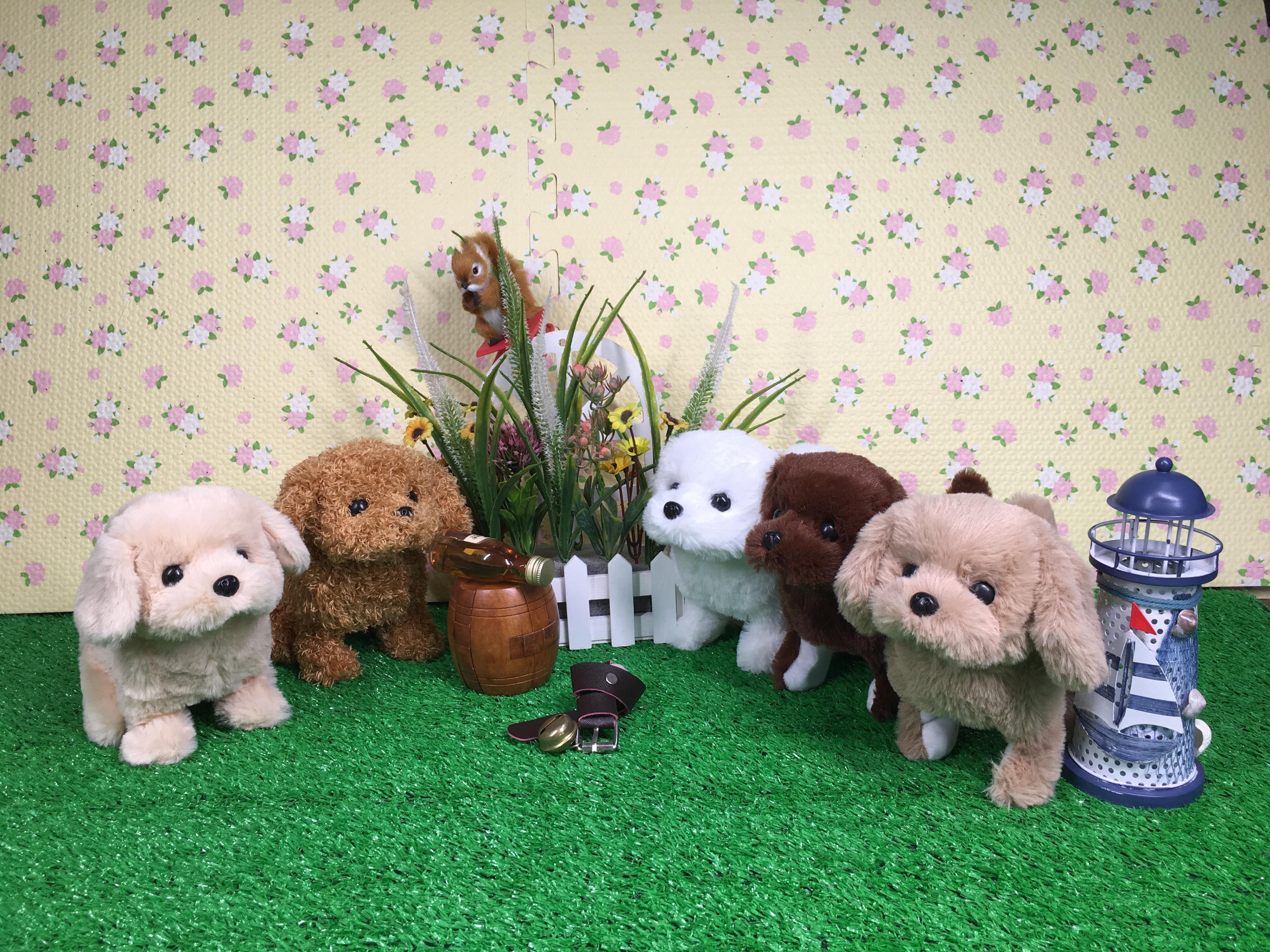 Electric Animal Toys