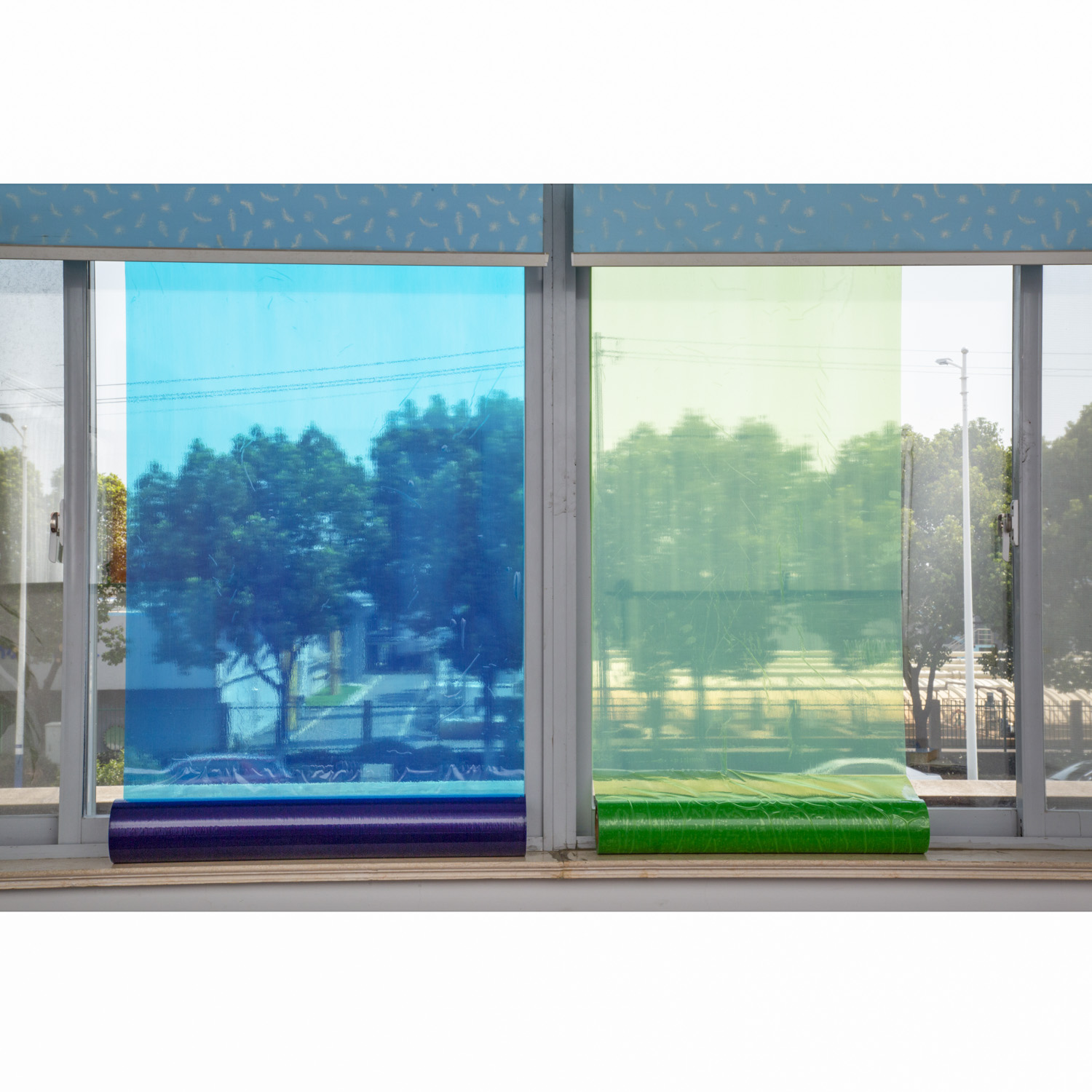 Glass Protective Film
