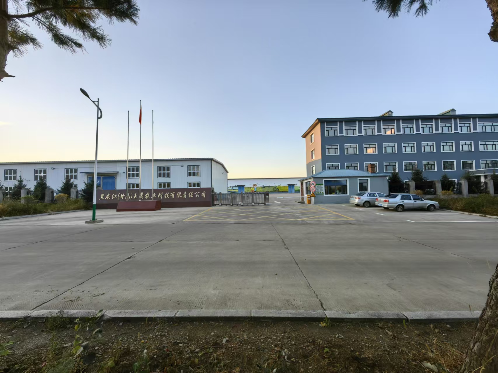 Heilongjiang Yusheng Agricultural Development Co., Ltd. – café molido 1