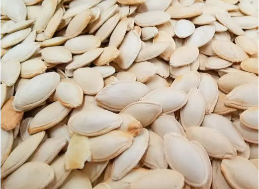 pumpkin seed