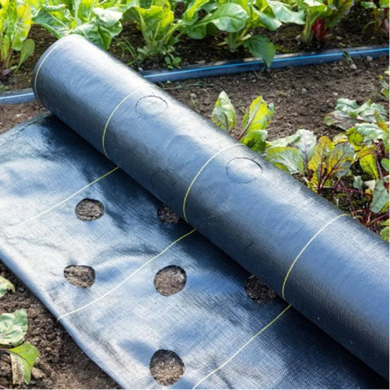 Shandong hongguan new material co.,ltd – portarretrato 3