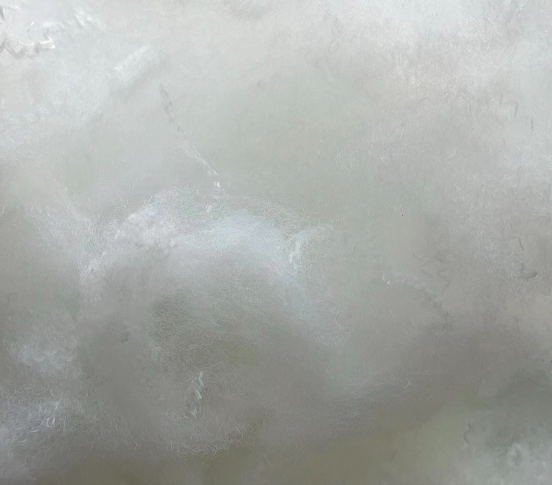 antibacterial PSF