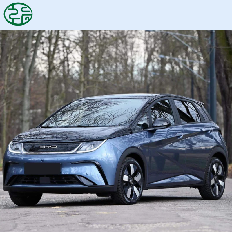 Shandong Xinhui New Energy Vehicle Industry Co., Ltd. – cadena de bicicleta 1