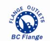 Dingxiang Beicheng Flange Co.,ltd