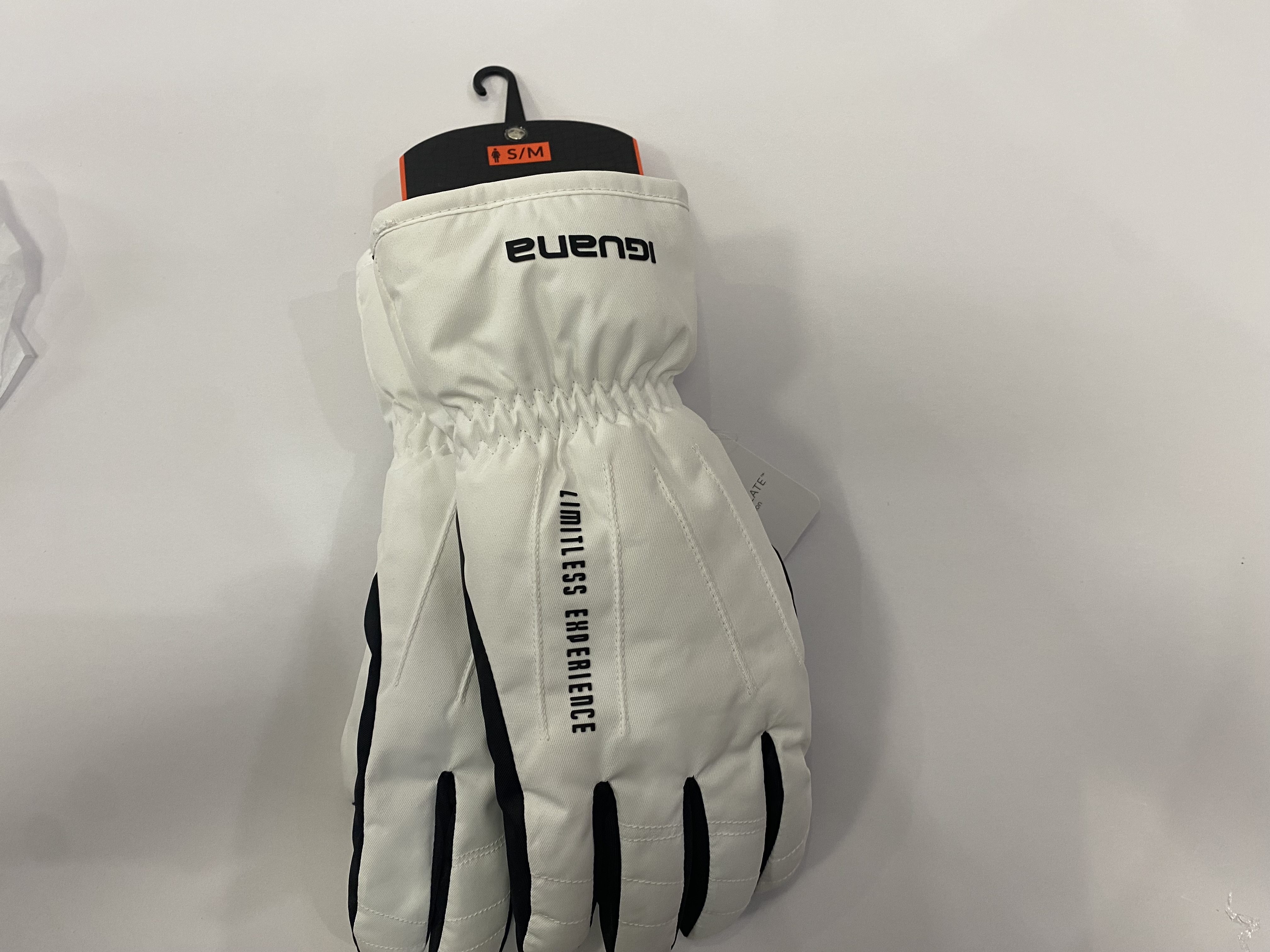 Ski Gloves