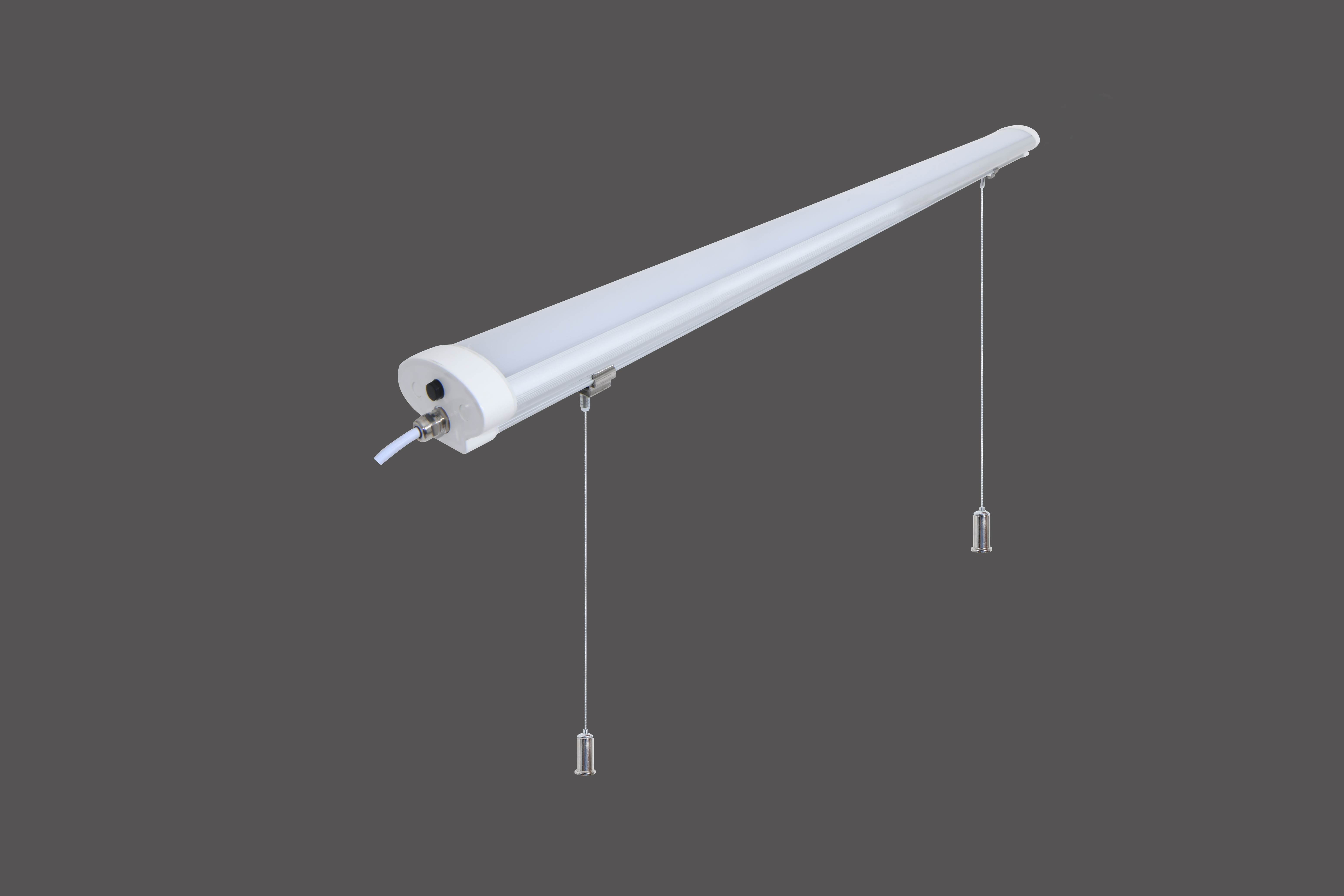 ZHONGSHAN SHISHENGYUAN LIGHTING .CO.LTD – tubo fluorescente 2
