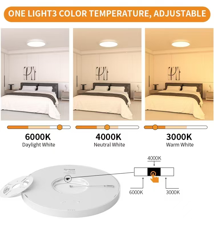 ZHONGSHAN SHISHENGYUAN LIGHTING .CO.LTD – lámpara de escritorio 3