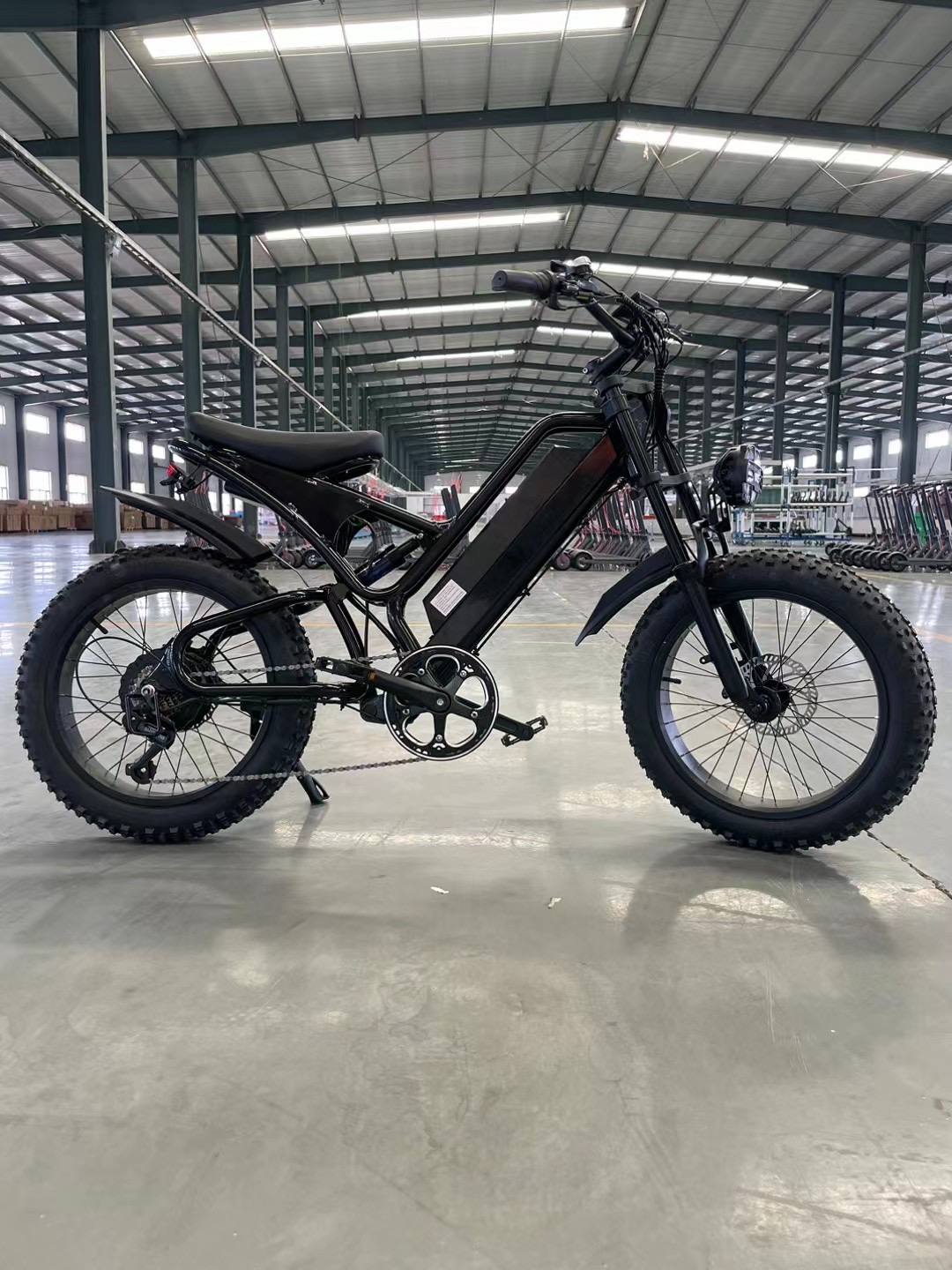 Xingtai Dalisi Electric Technology Co., Ltd. – rueda de bicicleta 2