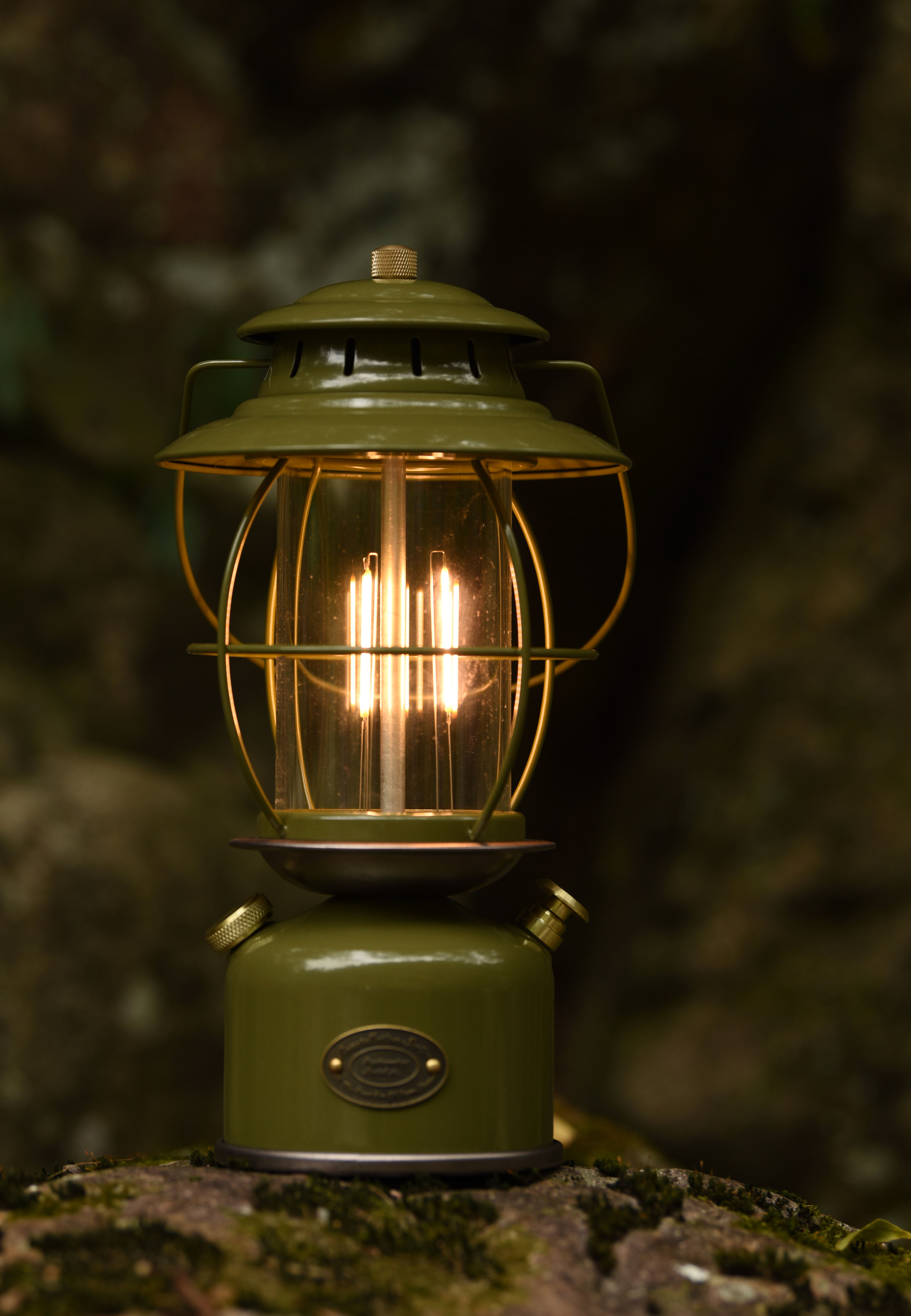 TAIZHOU YASTLY LIGHTING CO.,LTD – portarretrato 3