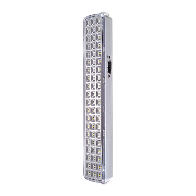 Guangdong Ledtimes lighting Co., Ltd. – tubo fluorescente 2