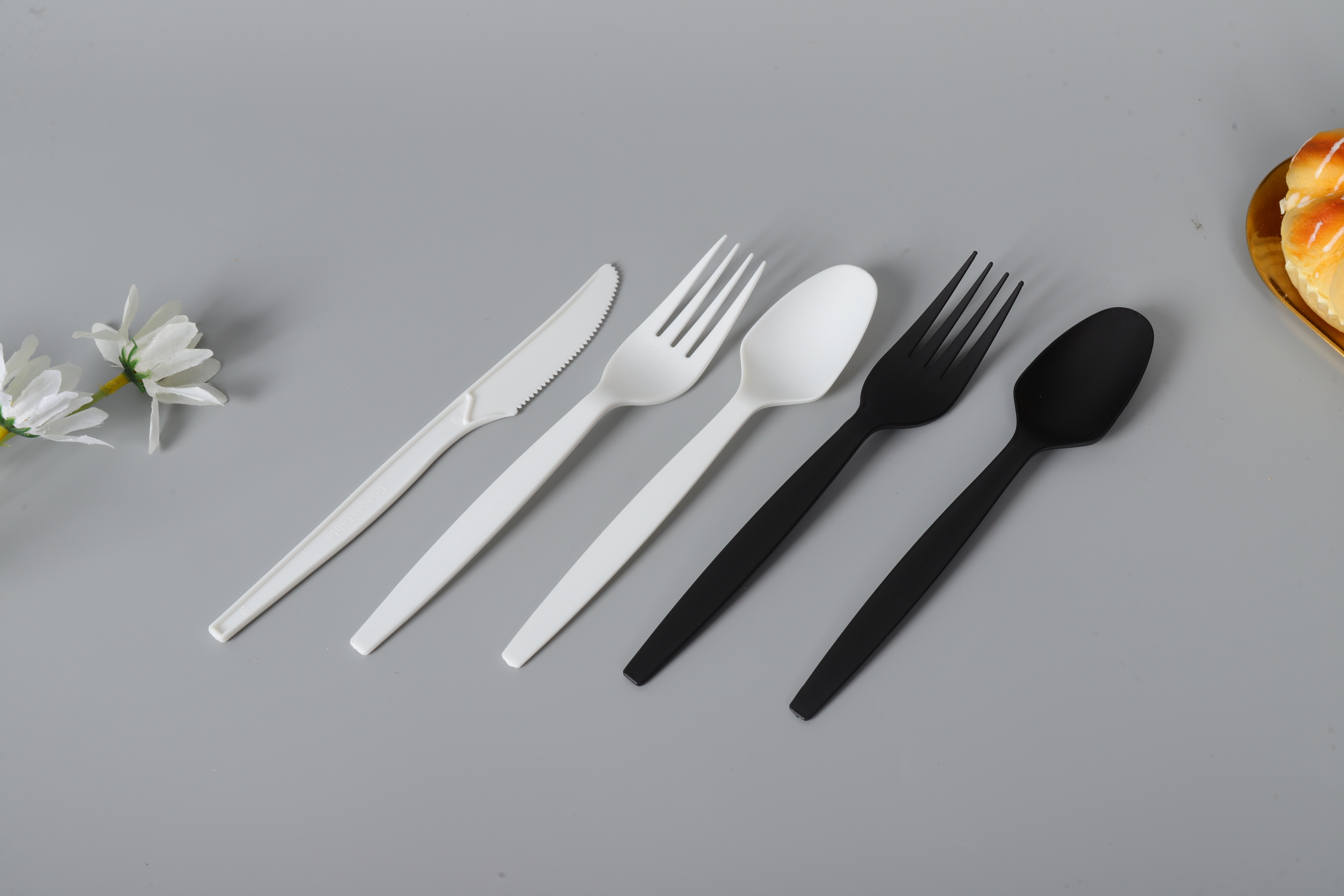 disposable biodegradable tableware