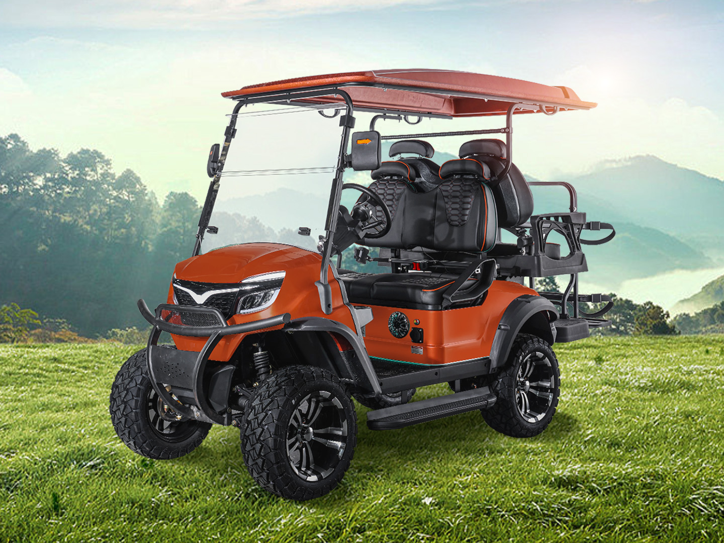 Yangzhou Whanlong Electric Vehicle Co., LTD – llanta de caucho 2