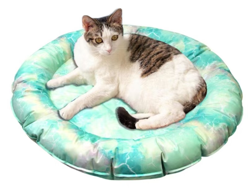 RuiChi Trade (ShenYang) Co.,Ltd. – Other pet products 4