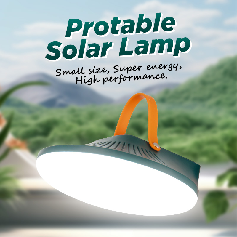Solar portable light